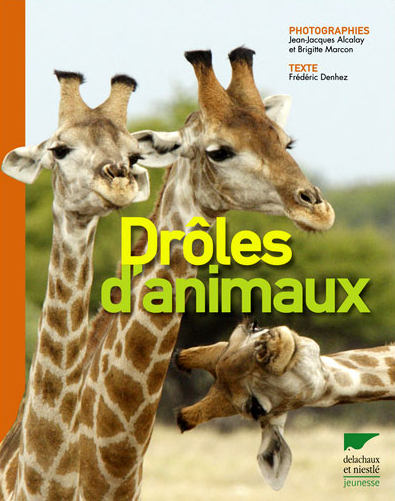Drôles d’animaux