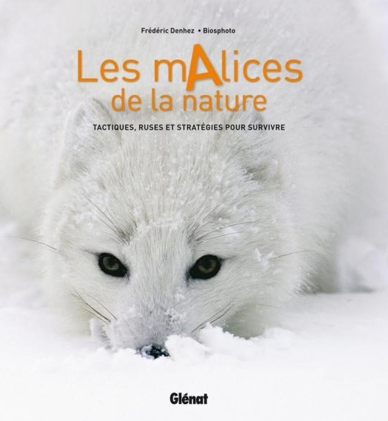 Les malices de la nature